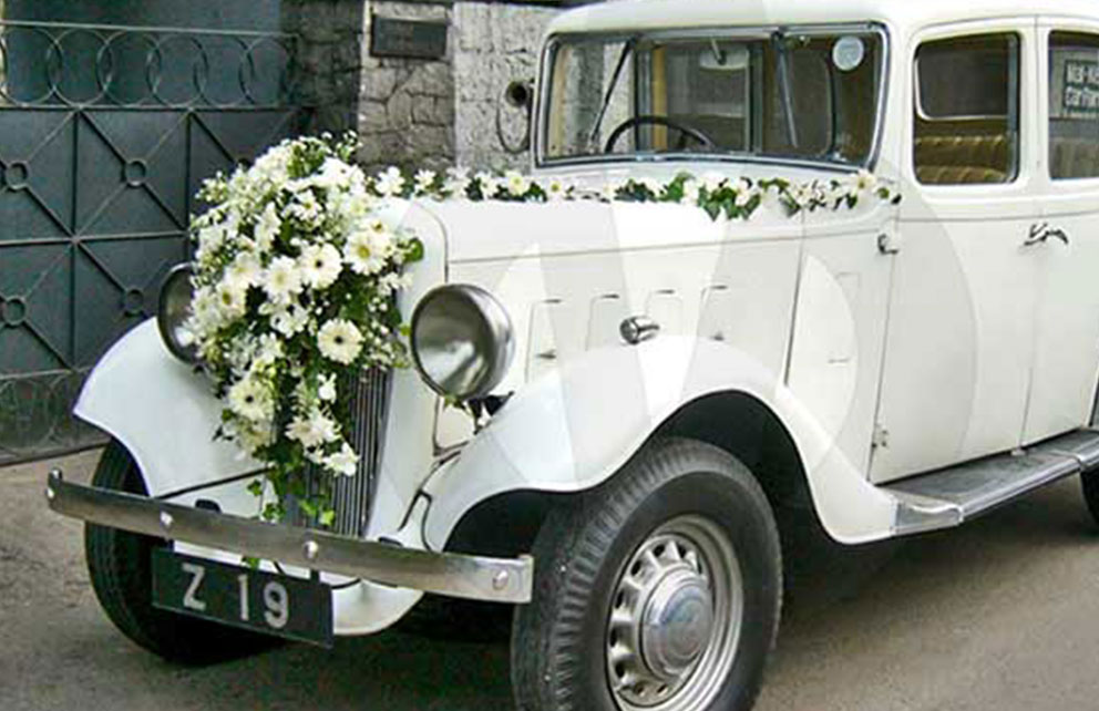 Austin Ascot Saloon 1936 white at Malkey Rent A Car Colombo