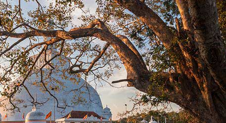 A temple in Anuradhapura Sri Lanka