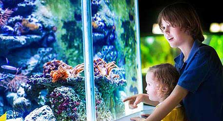 Two children in an aquarium 
