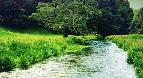 Scenic river and waterway in Sri Lanka
